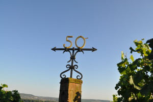 Der 50.Breitengrad läuft durch Mainz, überquert den Rhein und verläuft zwischen Geisenheim und Jogannisberg