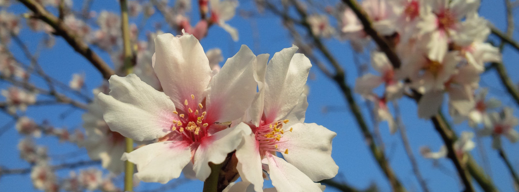 Newsletter Newsletter